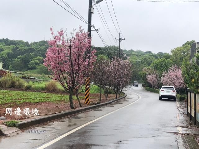 沙鹿透天-4