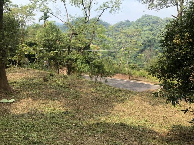 太平山坡地-4