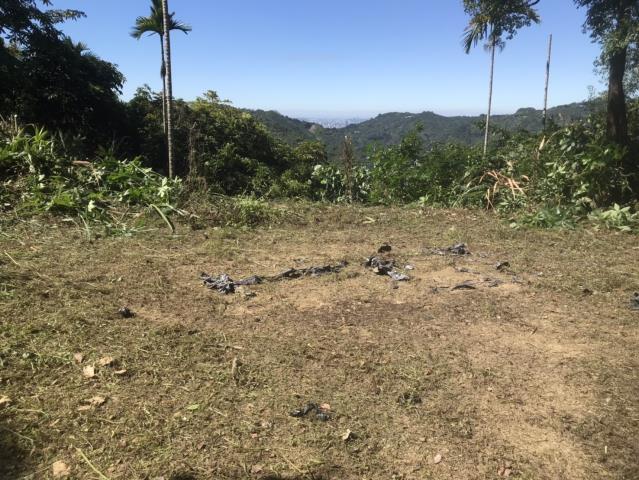 台中太平山坡地-9