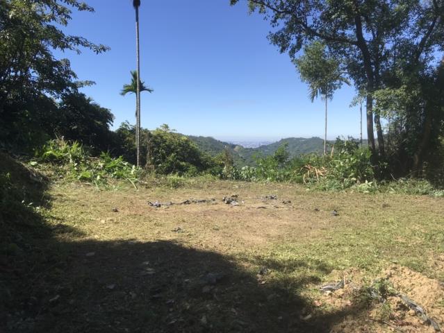 台中太平山坡地-10