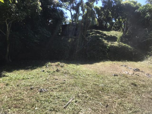 台中太平山坡地-12