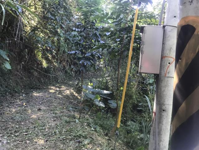 台中太平山坡地-13