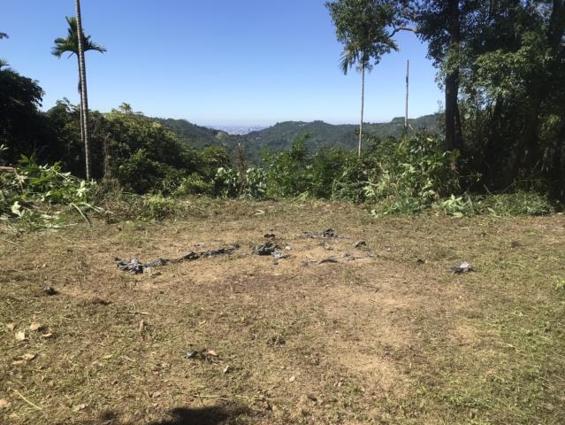 台中太平山坡地-14