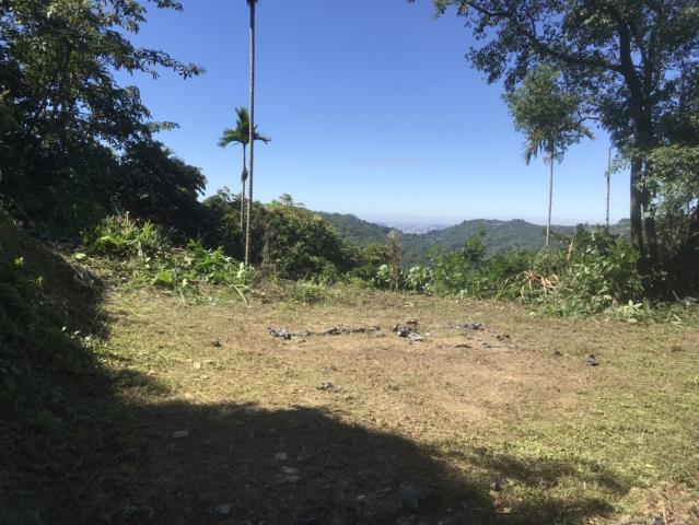 台中太平山坡地-0