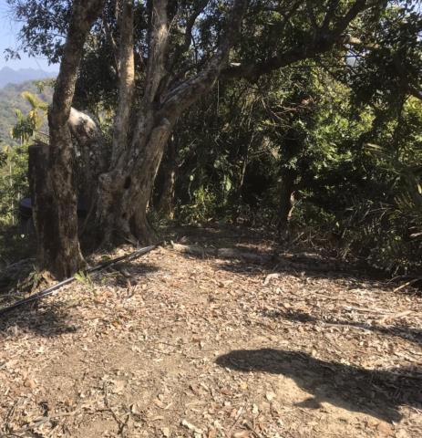 台中太平山坡地-5