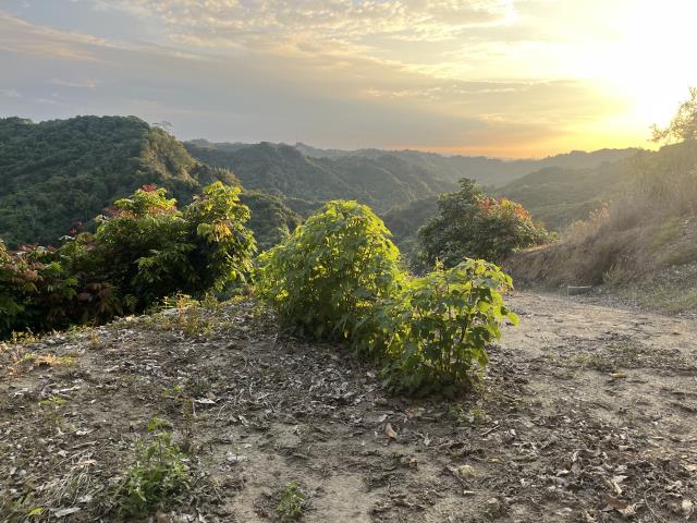 台中霧峰山坡地-9