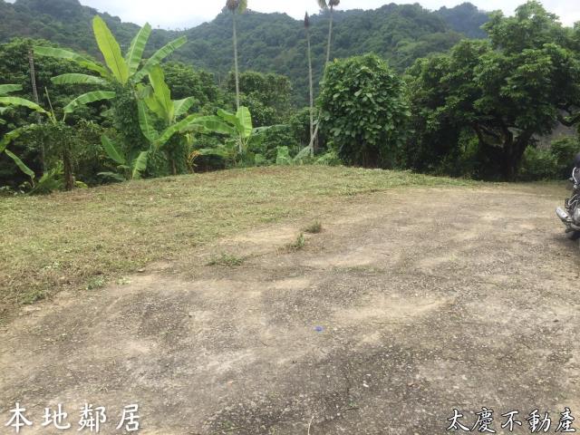 台中霧峰山坡地-10