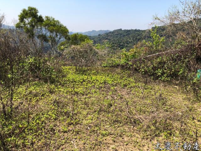 台中霧峰山坡地-12