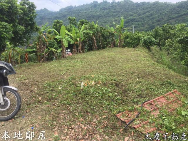 台中霧峰山坡地-13