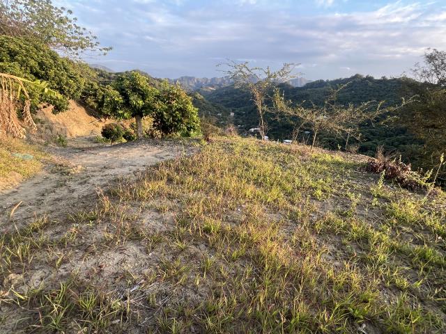 台中霧峰山坡地-0