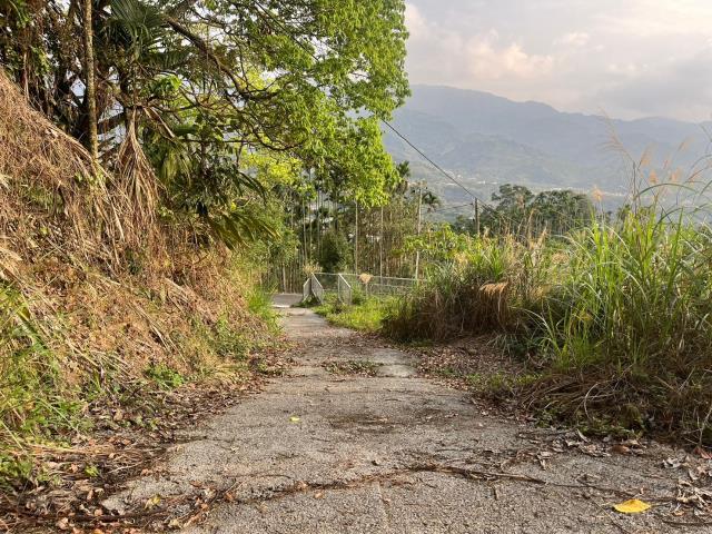 南投鹿谷山坡地-0