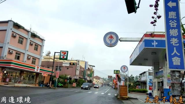 南投鹿谷山坡地-5