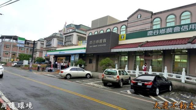 南投鹿谷山坡地-6