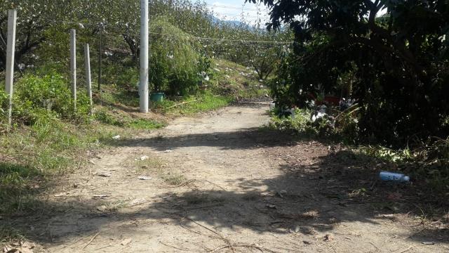 卓蘭山坡地-14