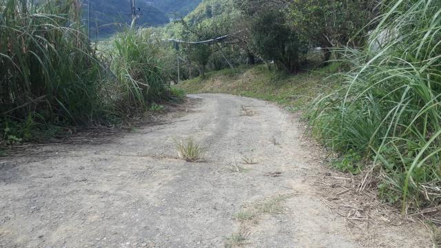 卓蘭山坡地-6