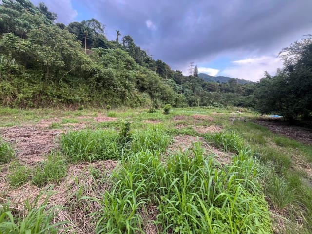 南投山坡地-0