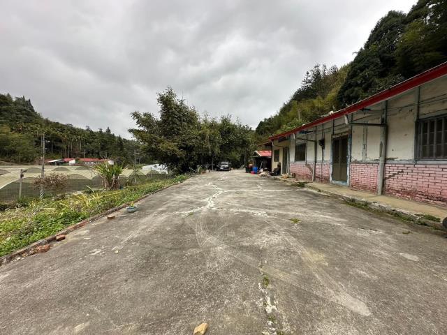鹿谷農地-10