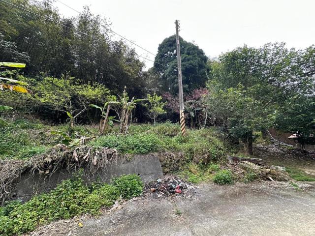 鹿谷農地-11