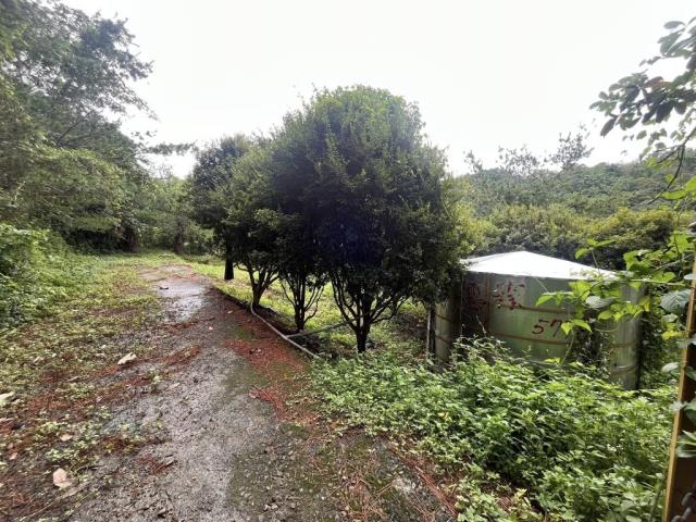 南投農地-12