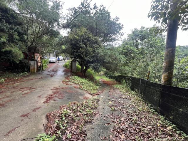 南投農地-13