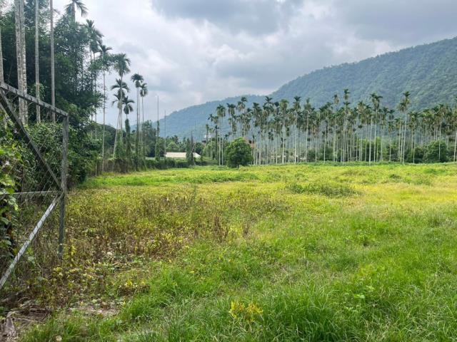 南投農地-7
