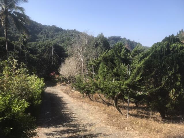 太平農地-4