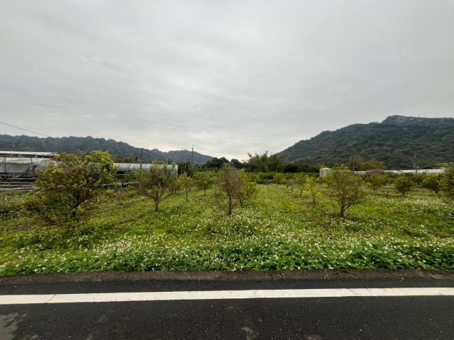 國姓農地-6