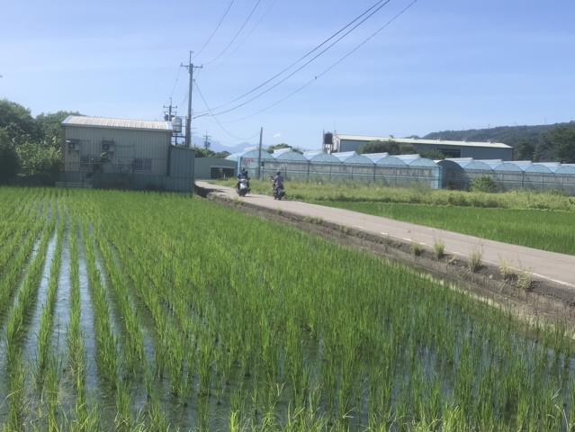 芬園農地-10