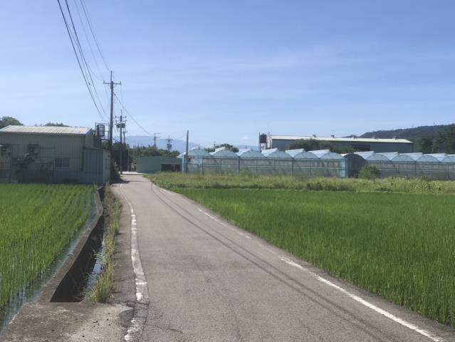 芬園農地-11