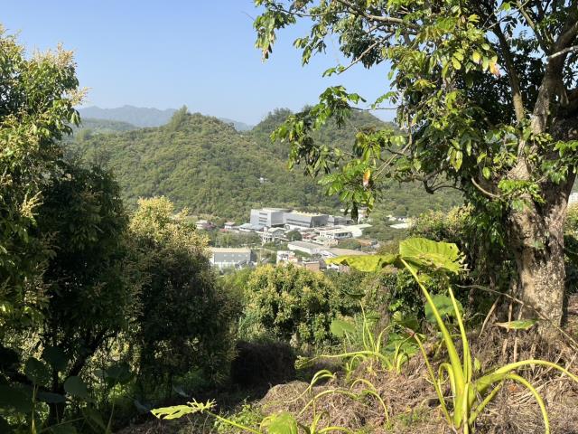 太平農地-5