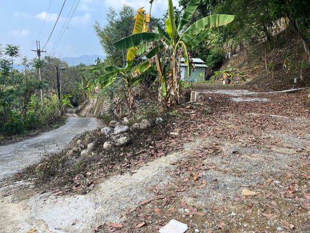 台中太平農地-13