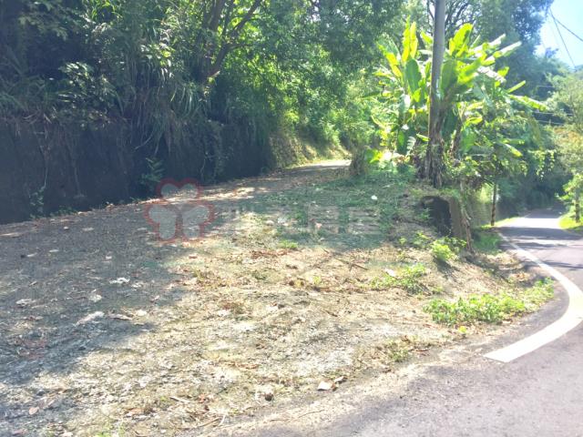 台中太平農地-5