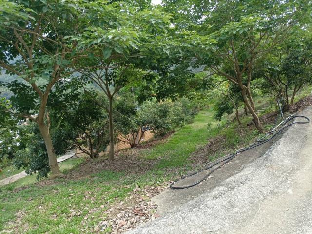 台中農地-4