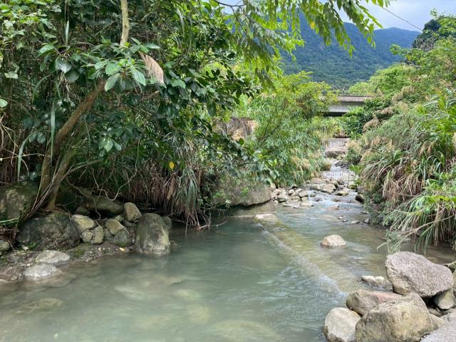 太平山坡地-2