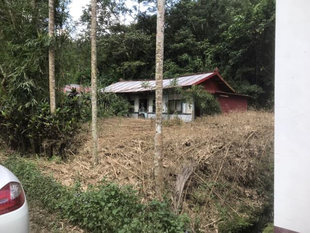 鹿谷建地-12