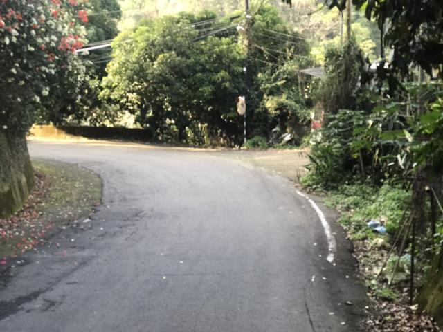 台中林地-8