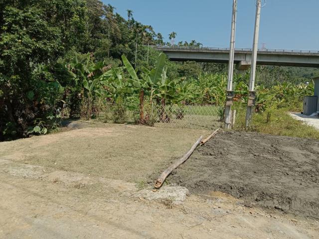 中寮農地-11