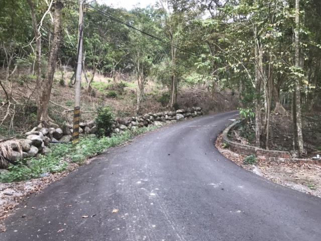 南投鹿谷農地-8