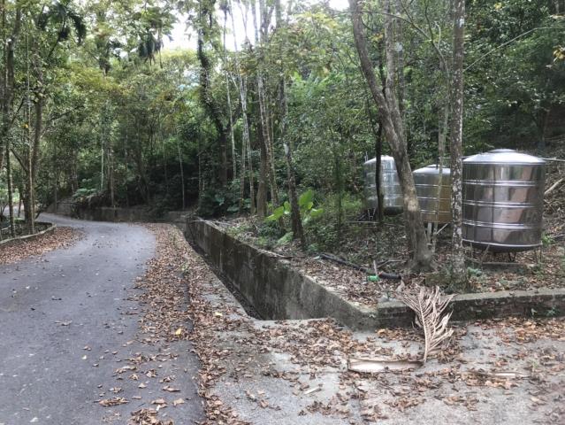 南投鹿谷農地-0