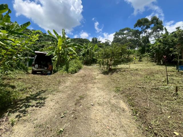 台中霧峰山坡地-9