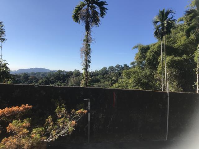 台中太平農地-3