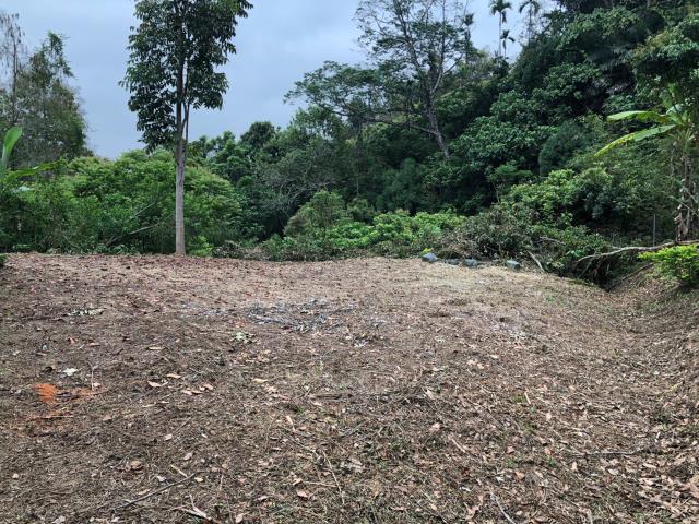 南投南投市農地-10