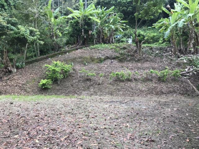 南投南投市農地-12