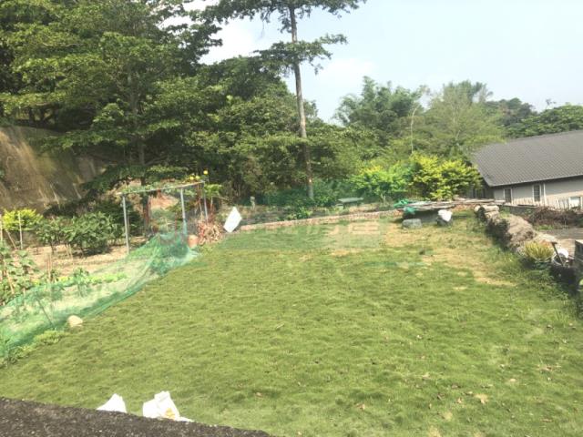 南投南投市農地-11