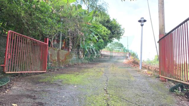 南投南投市農地-13