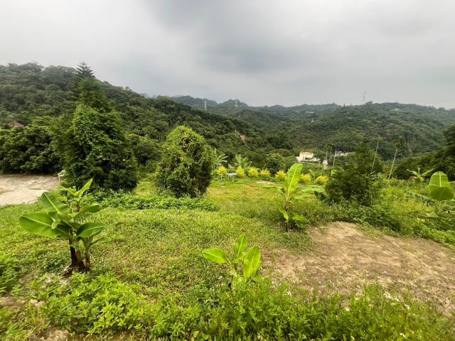 台中霧峰農地-7