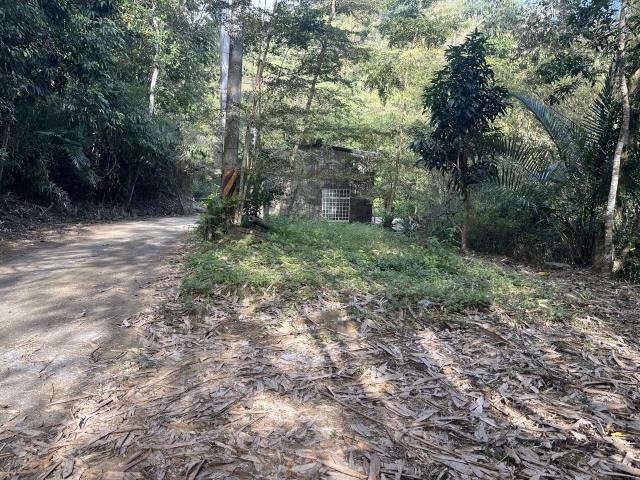 南投鹿谷山坡地-0