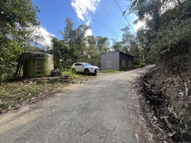 南投鹿谷山坡地-0