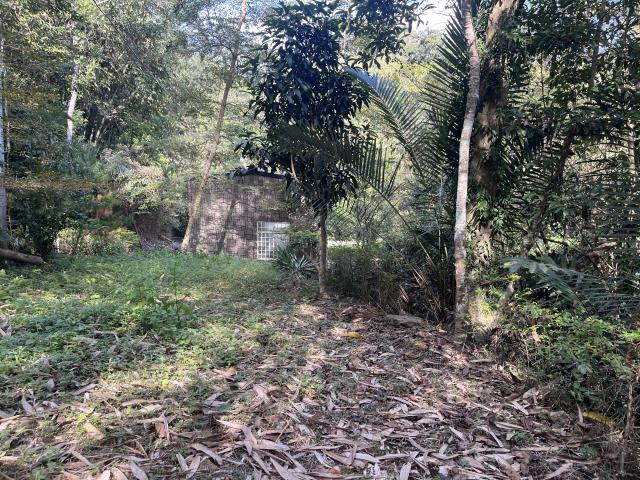 南投鹿谷山坡地-5