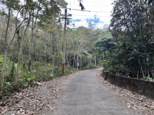 南投鹿谷農地-11